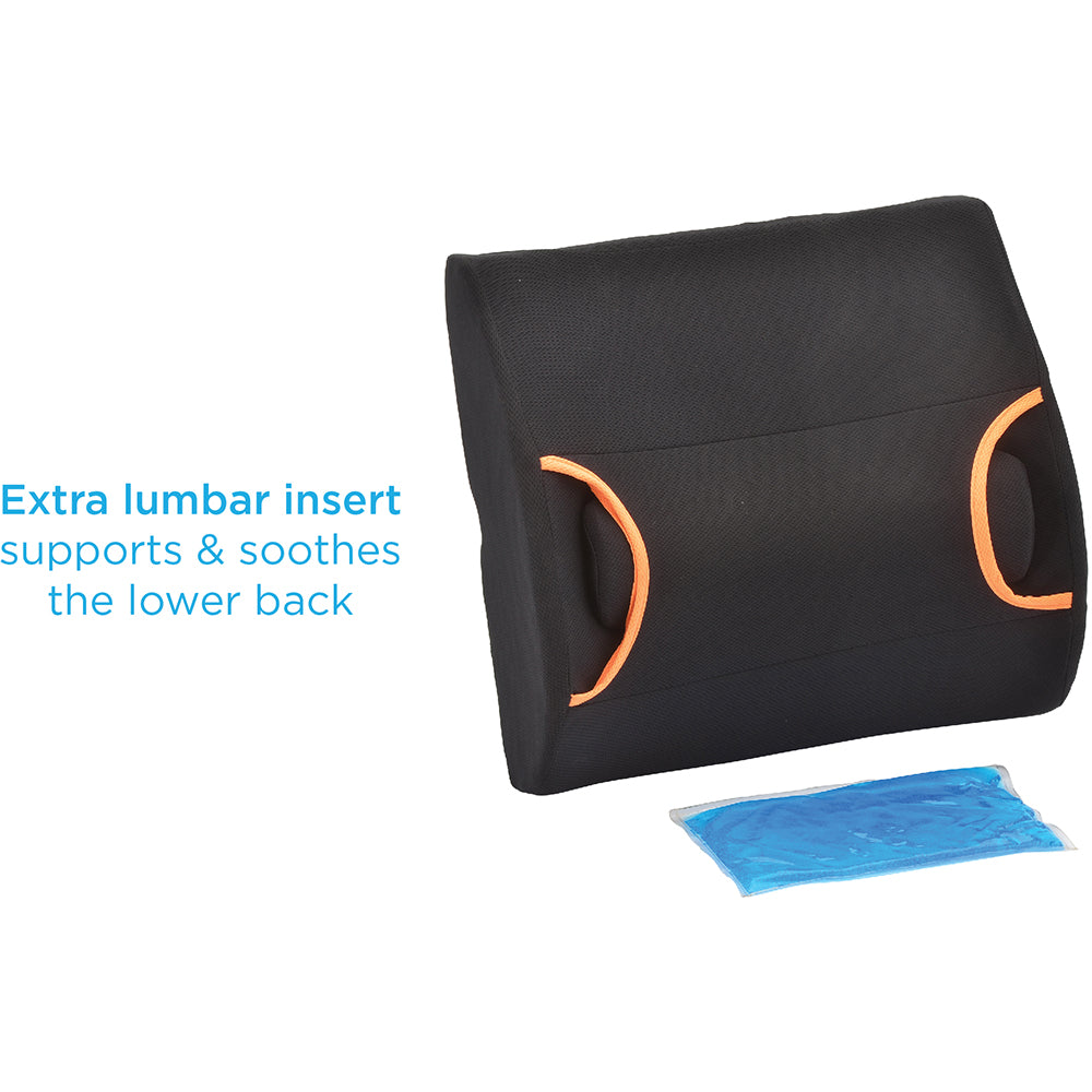 Back Cushion With Hot/Cold Pack