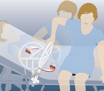 Comfort Company Halo Rails for Hospital Bed (Pair) – Spectrum Medical